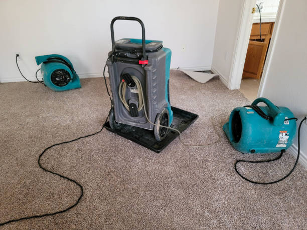 Best Ceiling water damage repair  in Long Lake, MN
