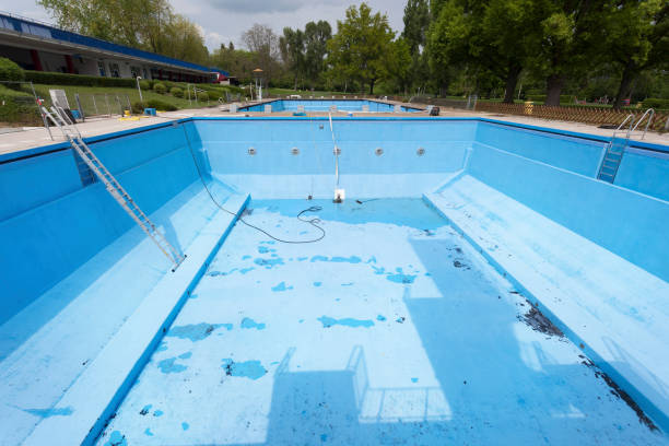 Best Mold removal after water damage  in Long Lake, MN