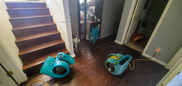  Long Lake, MN Water damage restoration Pros