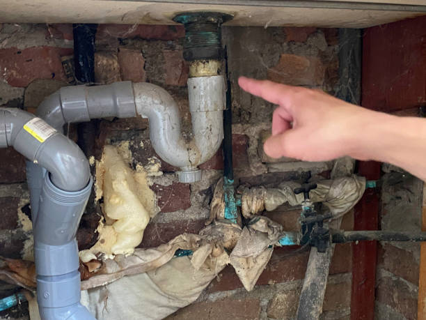 Best Local water damage restoration  in Long Lake, MN