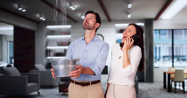 Best Ceiling water damage repair  in Long Lake, MN