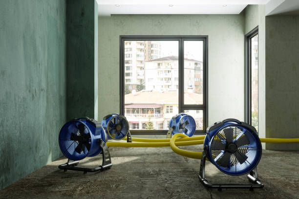 Best 24/7 water damage repair  in Long Lake, MN