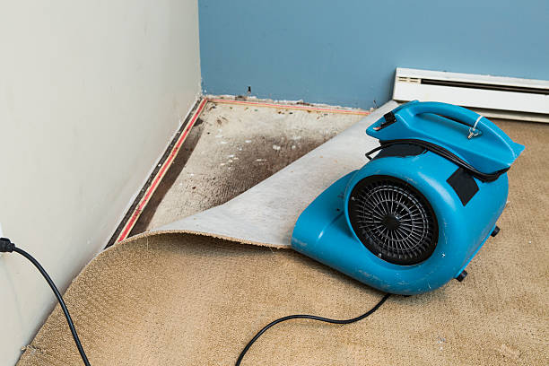 Best Water damage restoration near me  in Long Lake, MN